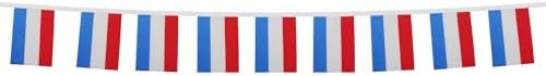 AZ FLAG Netherlands Bunting 20 ft 20 flags Light Polyester