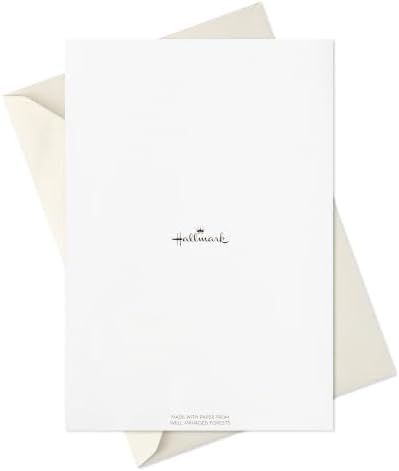 Hallmark Thanksgiving Cards with Envelopes, 16-Pack (Plenty Thankful)