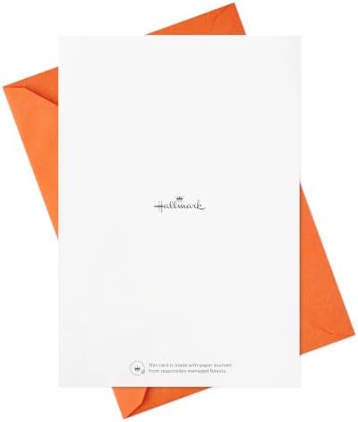 Hallmark Thanksgiving Cards, Assorted 16-Pack (Feeling Blessed)