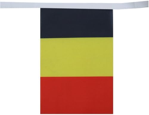 AZ FLAG Belgium Bunting 20 ft 20 flags Light Polyester