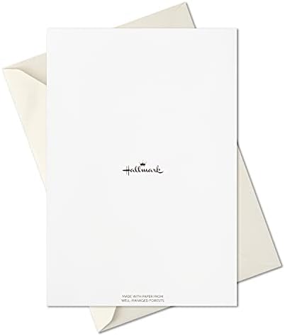 Hallmark Thanksgiving Cards with Envelopes, 16-Pack (Plenty Thankful)