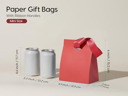 Vitalizart Paper Gift Bags With Ribbon Handles Mini Assorted Bulk Pack