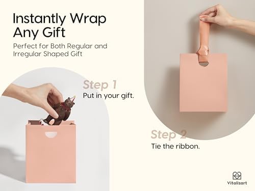Vitalizart Paper Gift Bags With Ribbon Handles Mini Assorted Bulk Pack