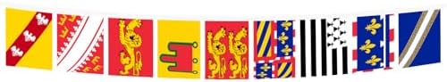 AZ FLAG 22 French Metropolitan regions Bunting 23 ft 22 flags