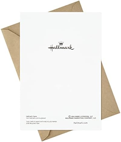 Hallmark Thanksgiving Cards with Envelopes, 10-Pack (Warm Thoughts of You)