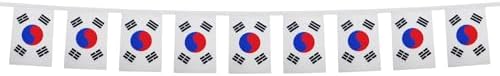 AZ FLAG South Korea Bunting 20 ft 20 flags Light Polyester