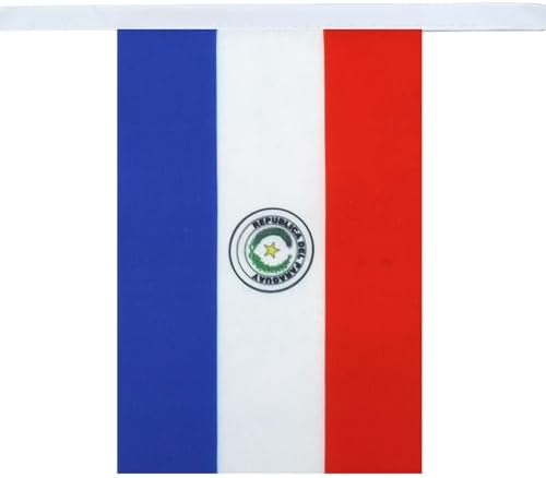 AZ FLAG Paraguay Bunting 20 ft 20 flags Light Polyester