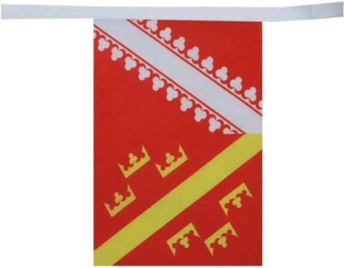 AZ FLAG 22 French Metropolitan regions Bunting 23 ft 22 flags