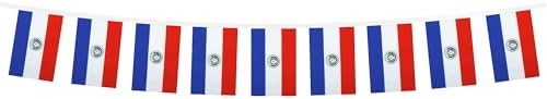 AZ FLAG Paraguay Bunting 20 ft 20 flags Light Polyester