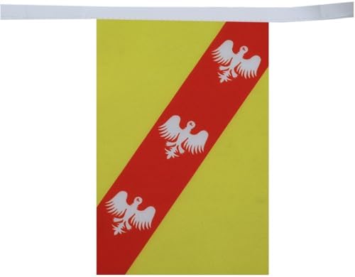 AZ FLAG Lorraine Bunting 20 ft 20 flags Light Polyester