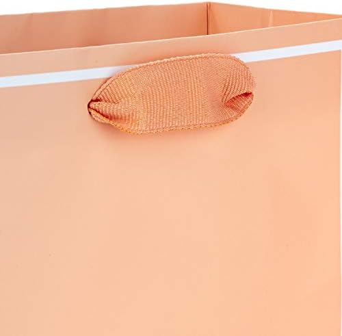 Hallmark 6" Small Gift Bags, 5-Pack (Pastels)