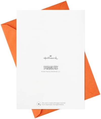 Hallmark Peanuts Thanksgiving Cards Assortment, Snoopy and Friends (16 Assorted Cards with Envelopes)
