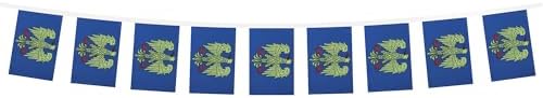 AZ FLAG Friuli-Venezia Giulia Bunting 20 ft 20 flags Light Polyester