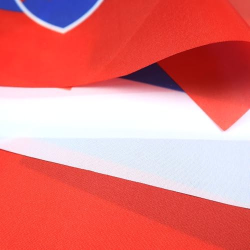 AZ FLAG Slovakia Bunting 20 ft 20 flags Light Polyester