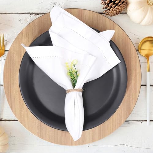 Lightnpro Decorative Hemstitched Cloth Dinner Napkins, 18x18 Inch White