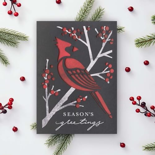 Masterpiece Striking Cardinal Holiday Cards / 10 Boxed Laser Cut Red Christmas Bird Cards With Coordinating Envelopes / 5" x 7" Folded Winter Seasonal Greeting Card Pack With Inside Verse