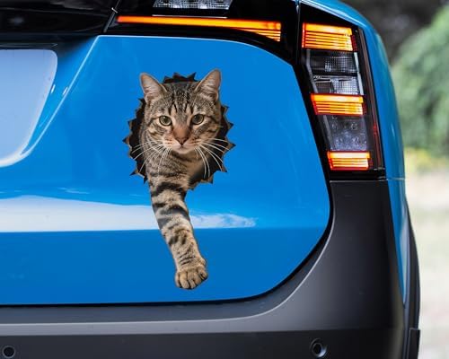 FLFK Cute Cat Wall Decal - Removable Peel and Stick Cat Sticker with 3D Effect for Toilet Kitchen Offices Locker Car Decor, Tabby Breaking Through