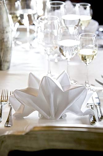 White Cotton Cloth Napkins Set of 6 for Everyday Use, Reusable 100% Cotton Napkins, Perfect Dinner Napkins/Cocktail Napkins for Christmas/Thanksgiving Dinners, Weddings&More (White)
