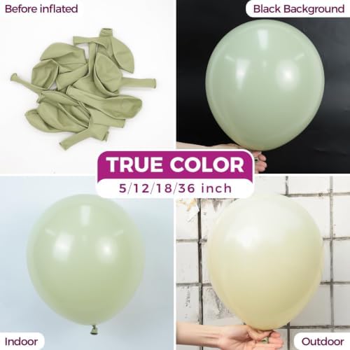 Bezente Sage Green Balloons Latex Party Balloons 100 Pack 12 inch