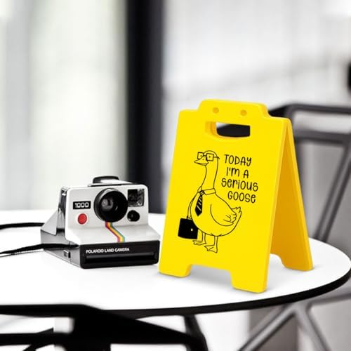 Funny Silly Goose Office Desk Decor - Today I'm a Serious Goose Cubicle Decor - Fun Gag Gifts for Coworkers Colleagues Staff