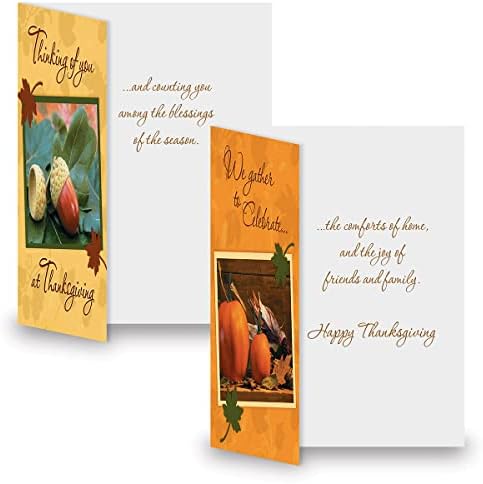 Current Photo Thanksgiving Greeting Cards Set - Themed Fall Holiday Card Variety Value Pack, Set of 12 Large 5 x 7-Inch Cards, Assortment of 6 Unique Designs, Envelopes Included