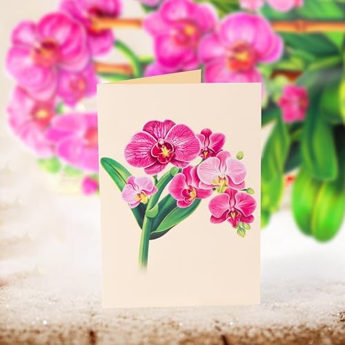 Airpark Pop Up Flower Bouquet Card for Women, 3D Floral Greeting Card with Envelope and Note, Birthday Thank You Thinking of You Get Well Gift for Mom Friend Wife Teacher, Orchid