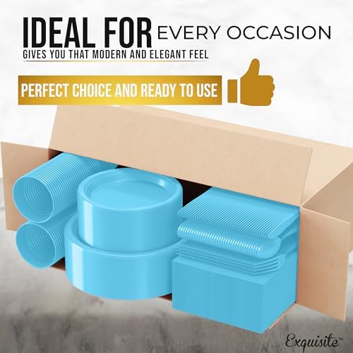 Exquisite 350 Pcs Light Blue Plates and Napkins Party Supplies Plate Sets