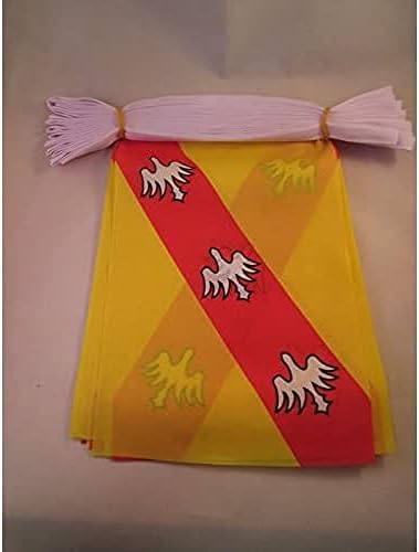 AZ FLAG Lorraine Bunting 20 ft 20 flags Light Polyester