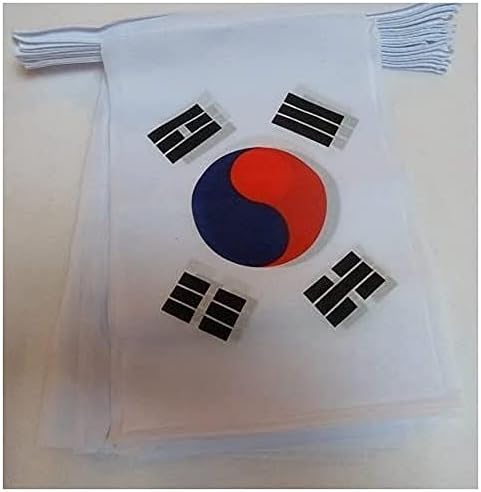 AZ FLAG South Korea Bunting 20 ft 20 flags Light Polyester