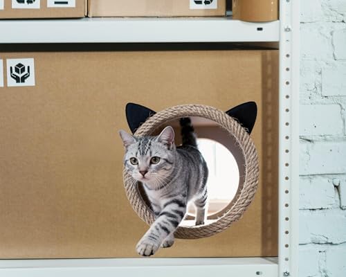 FLFK Cute Cat Wall Decor Decal - Removable Peel and Stick Cat Sticker with 3D Effect for Toilet Kitchen Offices, Tabby Walking