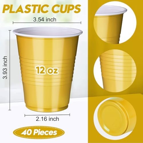 Vumdua Gold and Black Plastic Cups Disposable Cups, 12 oz Plastic Party Cups for Graduation, Christmas, Wedding, Birthday Party Supplies, Pack of 40