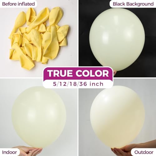 Bezente Pastel Yellow Latex Matte Party Balloons 150 Pack 5 inch Small
