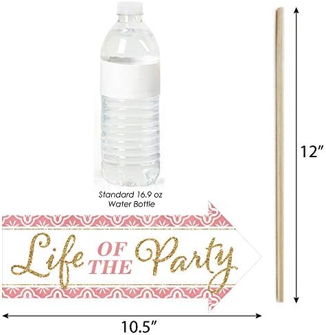 Funny Mis Quince Anos - Quinceanera Photo Booth Prop Kit, DIY Setup - 10pc
