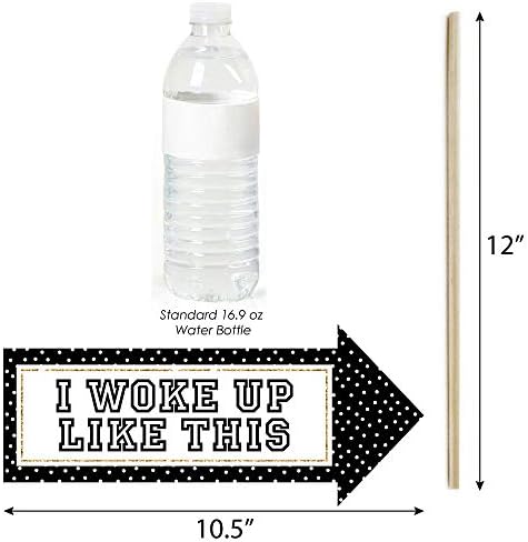 Funny Homecoming Dance Photo Booth Prop Kit, DIY Setup - 10pc