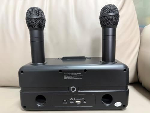 Karaoke Machine for Adults and Kids with 2 UHF Wireless Microphones,Portable Bluetooth Speaker PA Speaker System with LED Party Lights for Home Party, Picnic,Car,Outdoor/Indoor/Birthday Gifts