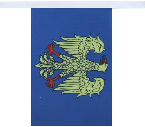 AZ FLAG Friuli-Venezia Giulia Bunting 20 ft 20 flags Light Polyester