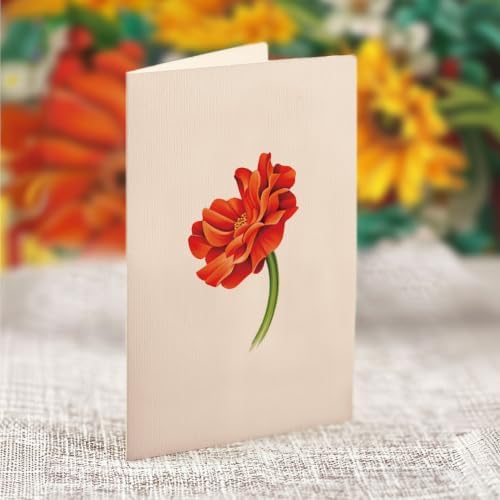 Freshcut Paper Mini Pumpkin Harvest 5.5" Pop Up Card