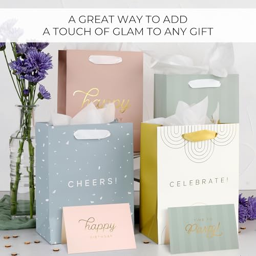 Beautiful Birthday Gift Bags Set of 4 with Tissue Paper, Cards & Stickers