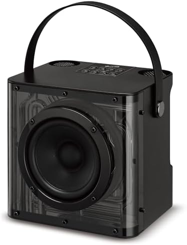iLive Bluetooth Karaoke Machine with 2 Wireless Microphones & LED Lights