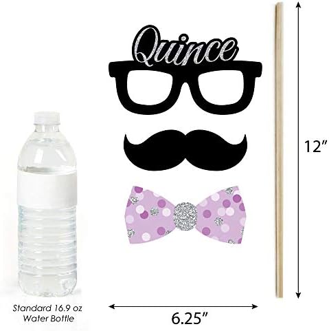Quinceanera Purple - Sweet 15 Photo Booth Prop Kit, DIY Props - 20pc