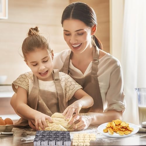 AIERSA 2Pcs Gold Fish Cracker Cutter,25 Cavity Fish Cookie Cutter,Mini Gold Fish Shapes Molds for Cookie,Non-stick Dough, Stainless Steels Cookie Cutters Mold for Baking