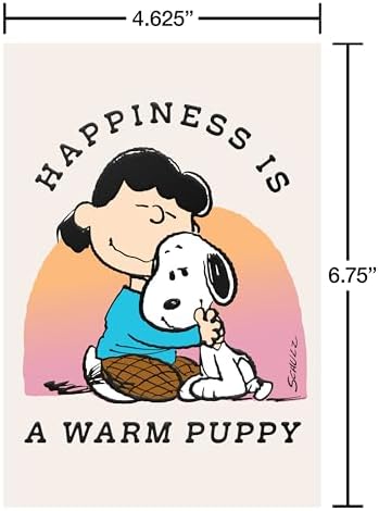 American Greetings 33-Count All-Occasion Peanuts Card Pack, Assorted Classic Peanuts Characters