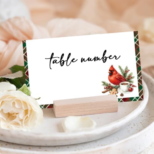Christmas Place Cards for Table Setting, Cardinal Bird Tent Cards Decor For Bridal Baby Shower Party Reception Decorations, Winter Holiday Placecards, 25 Pack Birthday Food Name Card, 2 x 3.5" /014