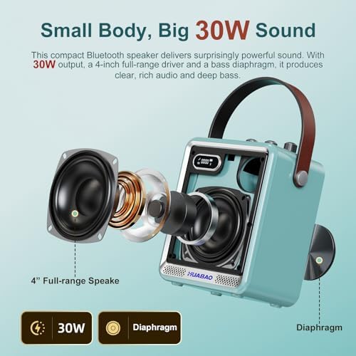 Karaoke Machine with 2 Wireless Microphones, Portable Mini Speaker