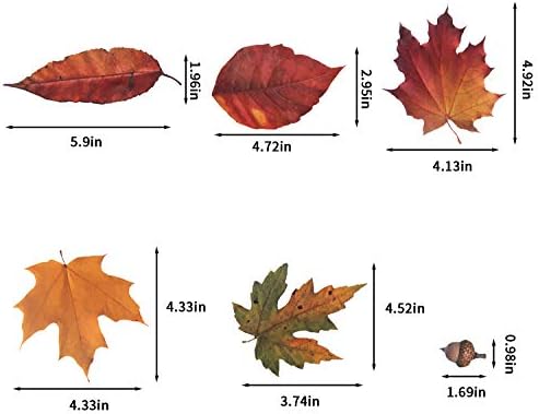 CCINEE 216pcs Maple Window Clings 6 Sheets Fall Leaves Assorted Maple Oak Leaves Acorns Window Stickers for Autumn Thanksgiving Halloween Seasonal Holiday Glass Window Decorations
