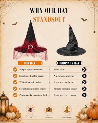Edoneery Halloween Witch Hat for Women, Mesh Lace Cosplay Costume Accessory