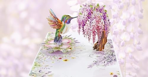 CUTPOPUP HummingBird Wisteria Pop Up Birthday Cards for Women, 3D Flowers Birthday Greeting Card for Her Wife Mum Valentines Card Anniversary Happy Mothers Day Cards (Wisteria) US8-AN162US