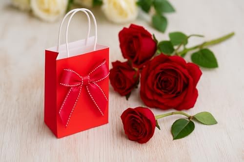 SUNCOLOR 24-Pack Red Gift Bags with Handles, 8" Kraft Paper Goodie Bags for Christmas, Valentine's Day, Birthday Party Favors