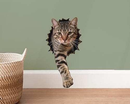 FLFK Cute Cat Wall Decal - Removable Peel and Stick Cat Sticker with 3D Effect for Toilet Kitchen Offices Locker Car Decor, Tabby Breaking Through
