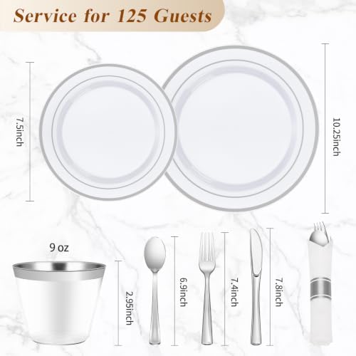 BESTVIP 875 Piece Silver Plastic Dinnerware Set for 125 Guests
